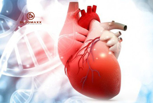 Cảnh giác với bệnh suy tim - điểm đến của các bệnh tim mạch