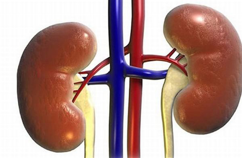 4 lưu ý khi uống nước để không làm thận của bạn ...