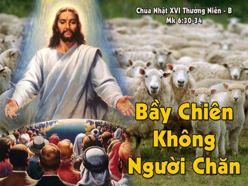 Chúa Nhật 18/07/2021 – CHÚA NHẬT 16 THƯỜNG NIÊN năm B. – Động lòng thương với Nhóm 12 và dân chúng.