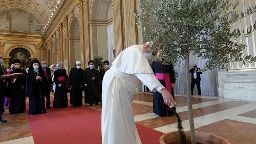 Bảo vệ ngôi nhà chung: Từ Công đồng Vatican II đến Laudato Si’