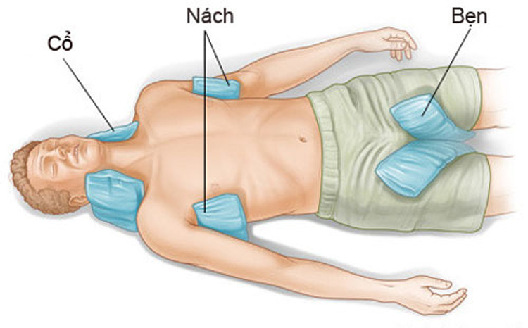 Làm gì để tránh sốc nhiệt ?
