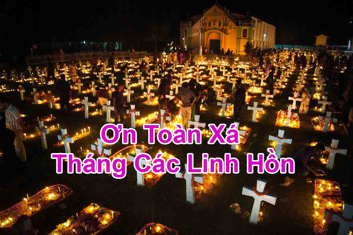Các điều kiện để lãnh nhận ân xá