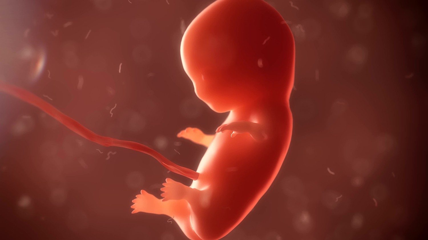 Giáo hội Hoa Kỳ cử hành tuần cửu nhật cầu nguyện cho sự sống
