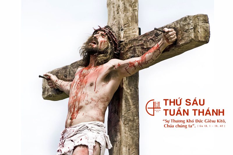 VÔ CẢM ĐẾN TÀN BẠO