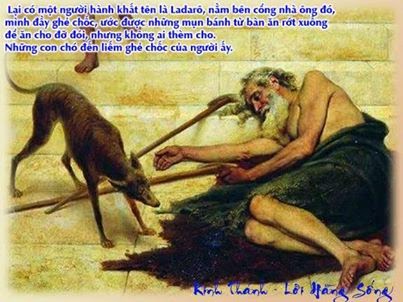 Xin Đừng Sống Vô Cảm