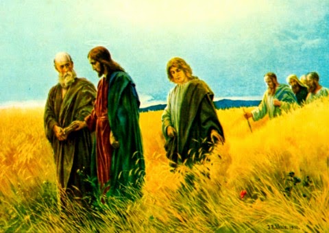 Kitô hữu, chứng nhân truyền giáo