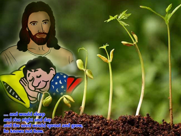 Sức Mạnh Nội Tại Của Nước Thiên Chúa