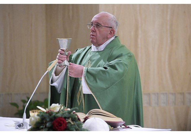 Chúng ta đang bước theo Chúa Giêsu là Đấng Cứu Độ duy nhất