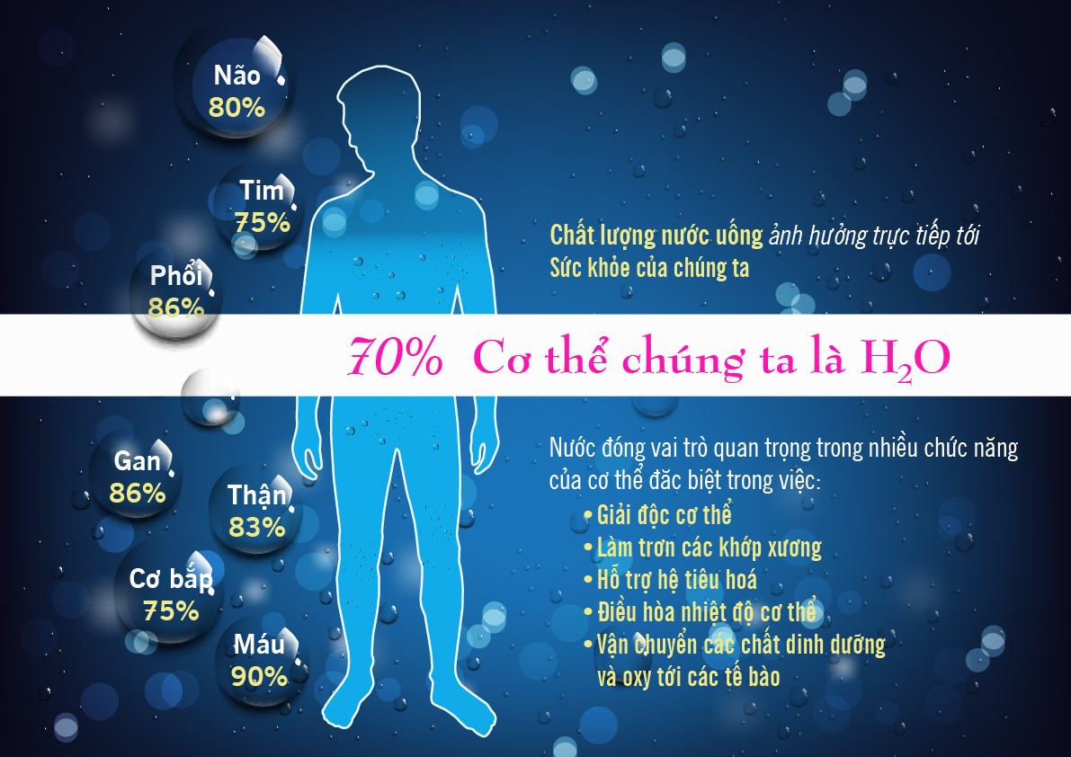 Tại Sao Ta Cần Uống Nước?