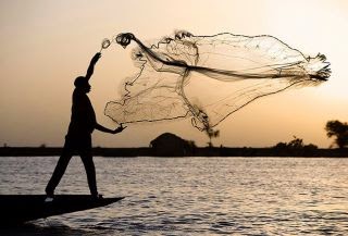 Tìm kiếm và chọn lựa