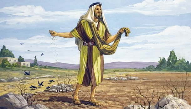 Nước đó giống như hạt cải mà người kia lấy gieo trong vườn mình.