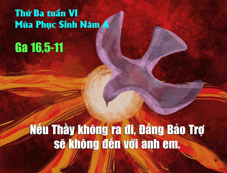 Suy niệm 08/05/2018 – Thứ Ba tuần 6 Phục Sinh:  Hoạt động của Thánh Thần.